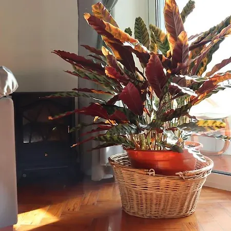 Judith House - Este *