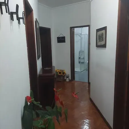 Judith House - Este אמאדורה