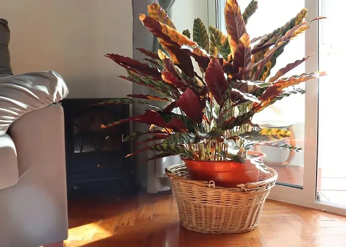 Judith House - Este *